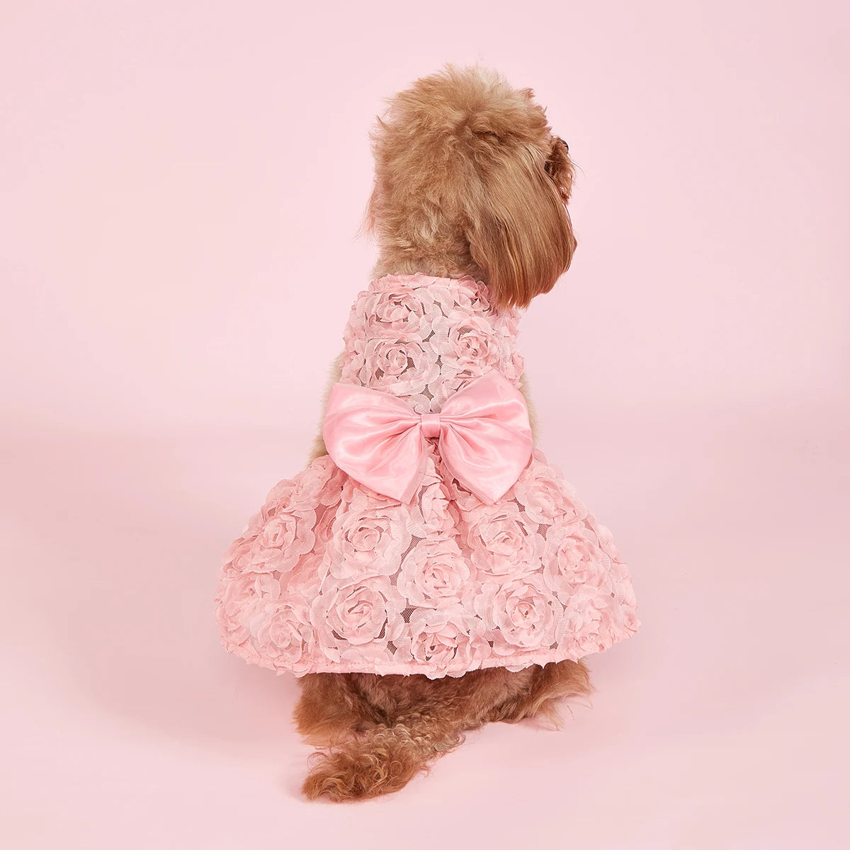 Dog Princess Dress