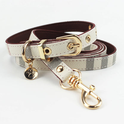 Fashion Leather Dog Collar & Leash Set