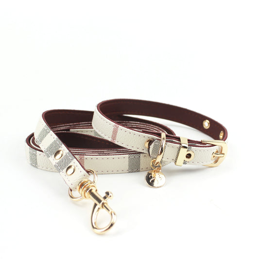 Fashion Leather Dog Collar & Leash Set