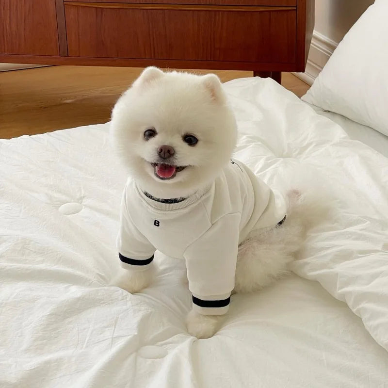 Cute Puppy Sweater