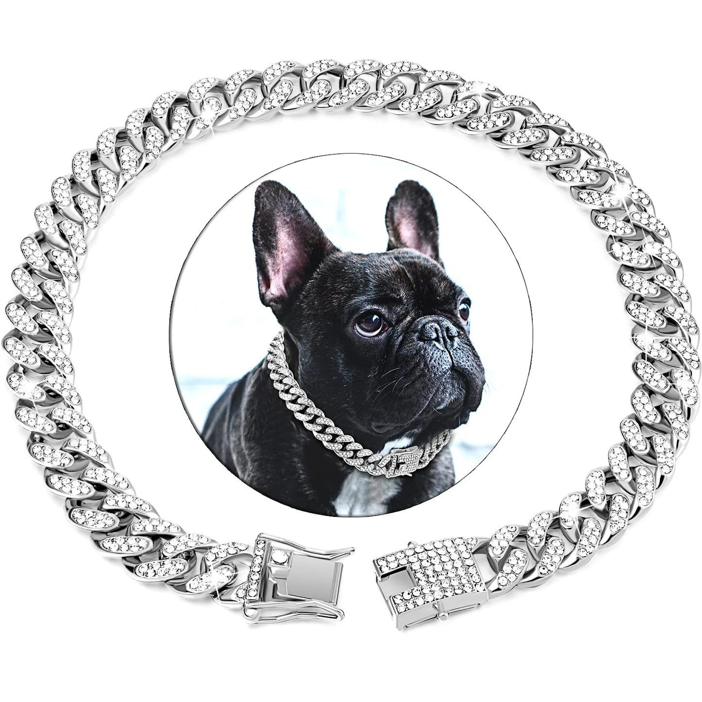 Diamond Dog Chain Collar