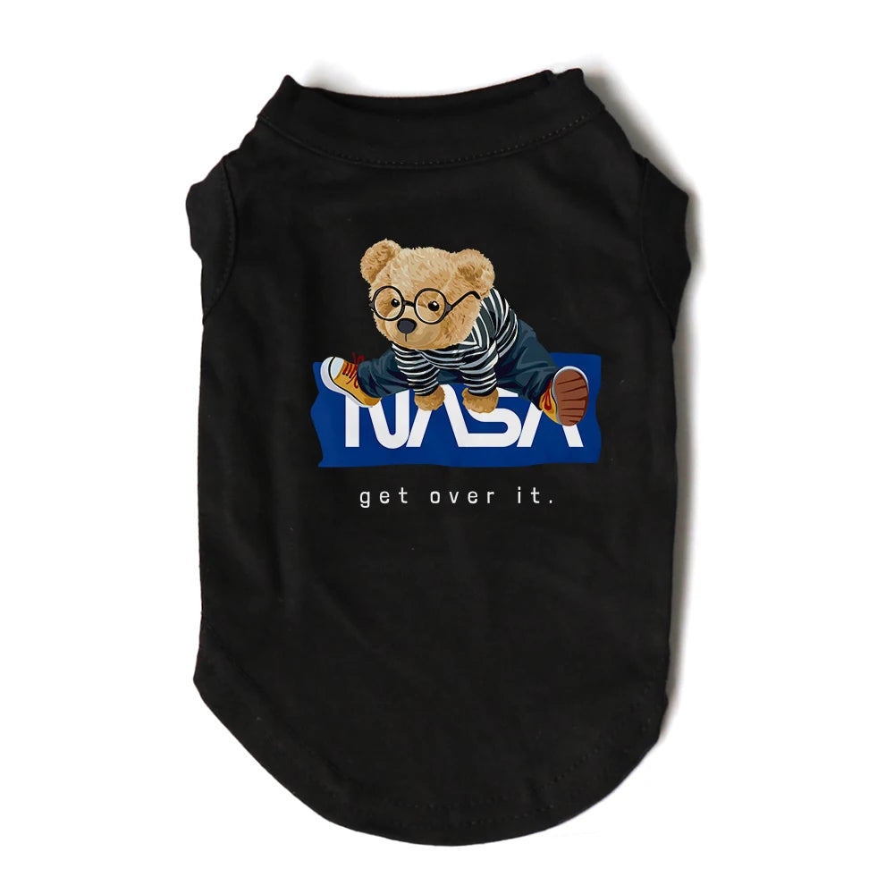 Nasa Bear