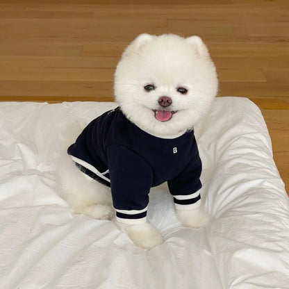 Cute Puppy Sweater