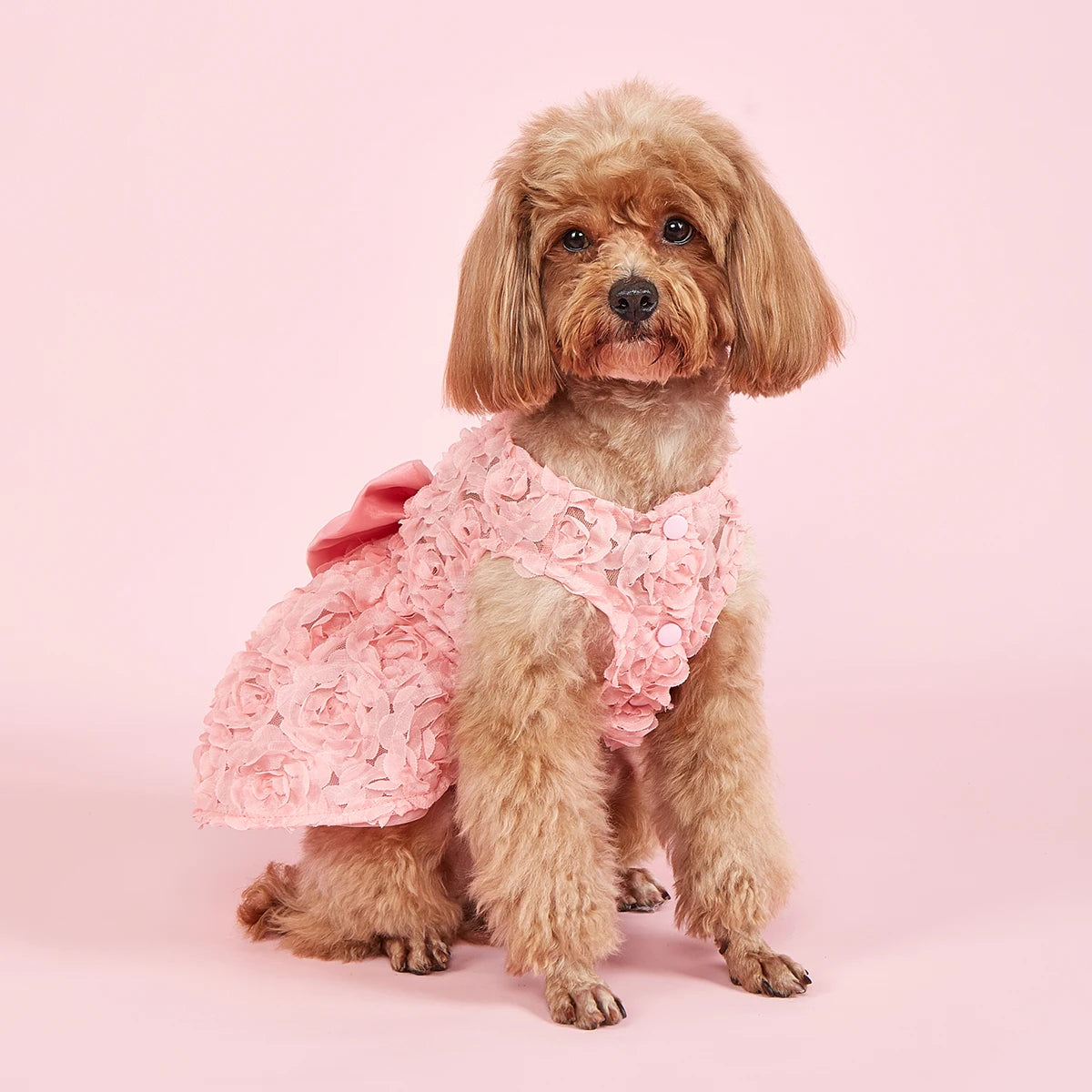 Dog Princess Dress